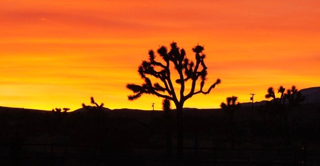 Photo - Halter Sunset Village
