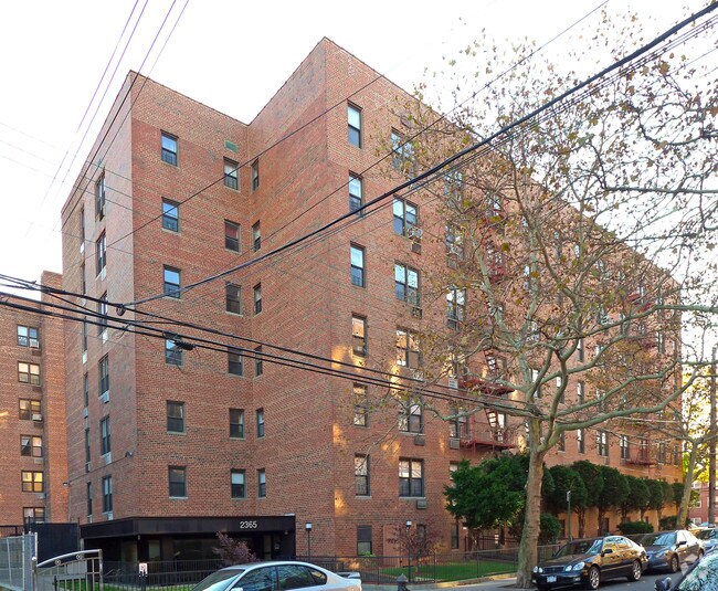 The Ashley - The Ashley Apartments