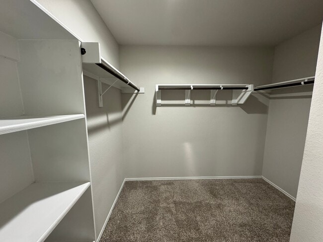Building Photo - 2407 Poplar Copse Ct Rental