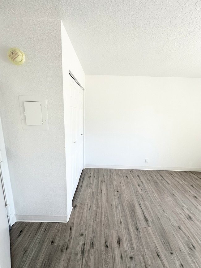 Estudio de vida.jpg - White Pine