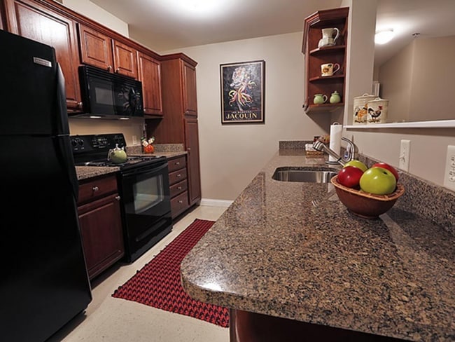 aptgallery4 - Schuyler Commons