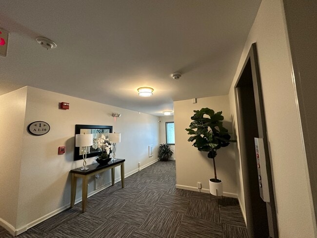 Signal View Apartments