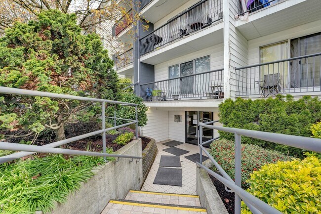 Photo - Mount Benson Arms