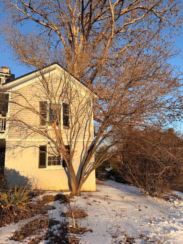 Photo - 154 Garland Ave