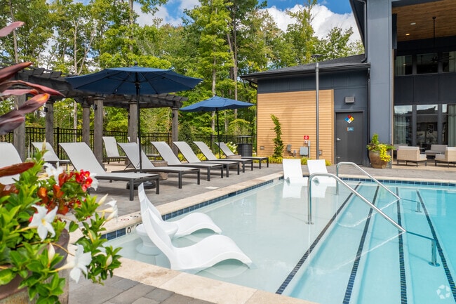 Salt-Water Pool with Sundeck