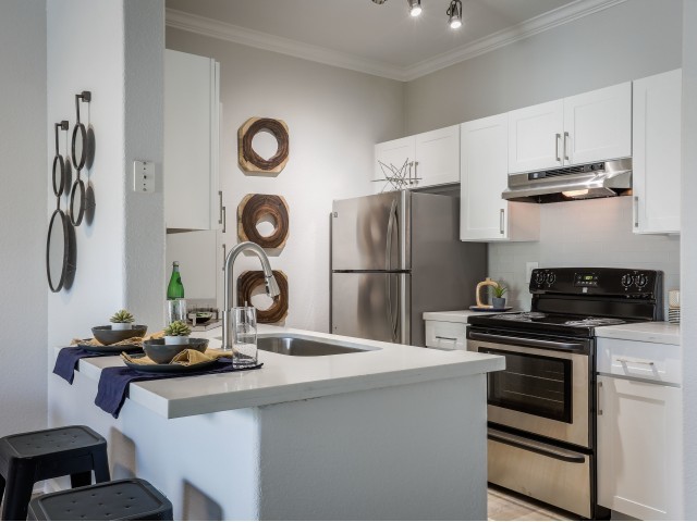 Renovated Kitchen - Avana Eastlake