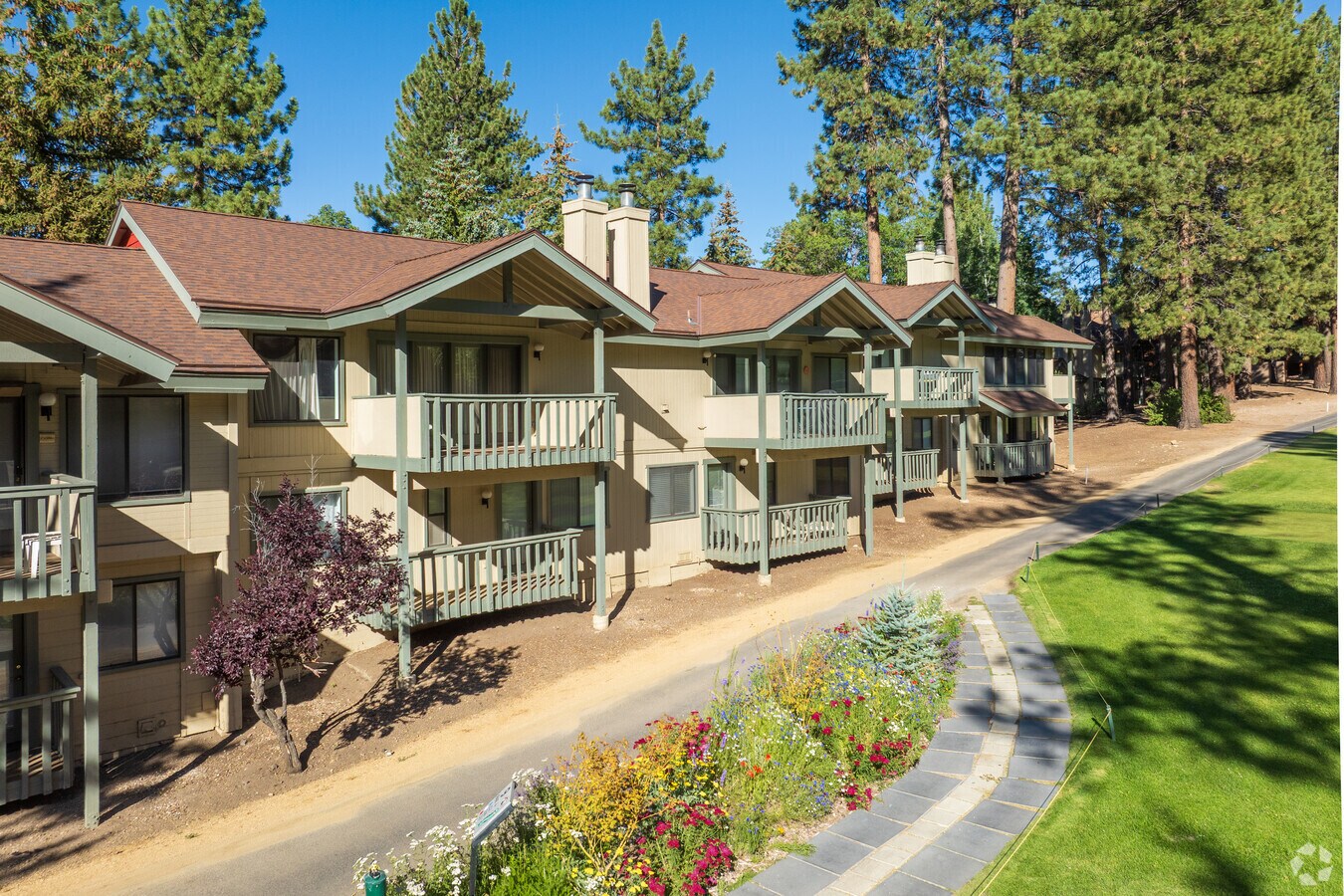 Photo - Bear Meadows