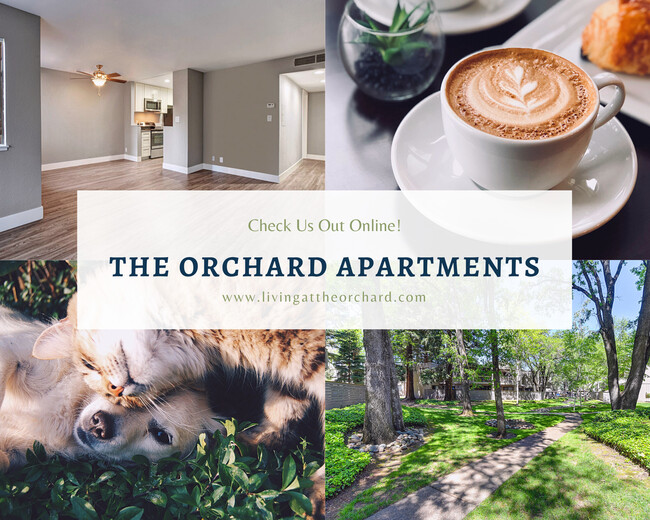 The Orchard Apartments - The Orchard Apartments