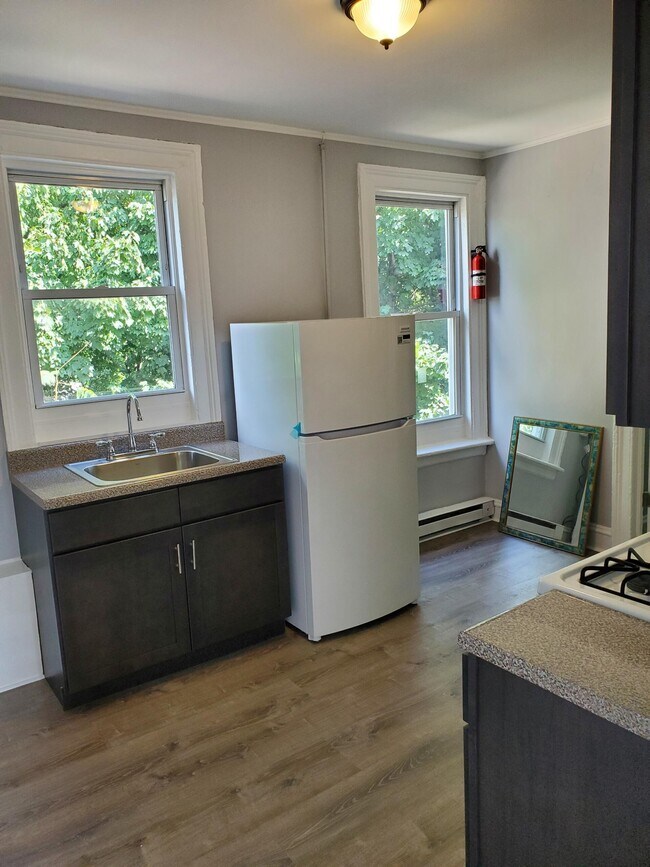 Photo - 177 W Parmenter St Unit 3