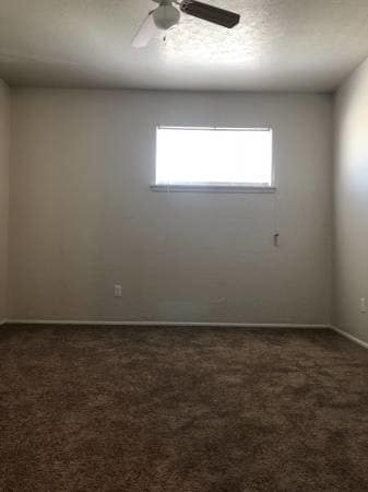 Ceiling fans - 2414 Ousdahl Rd Unit 34