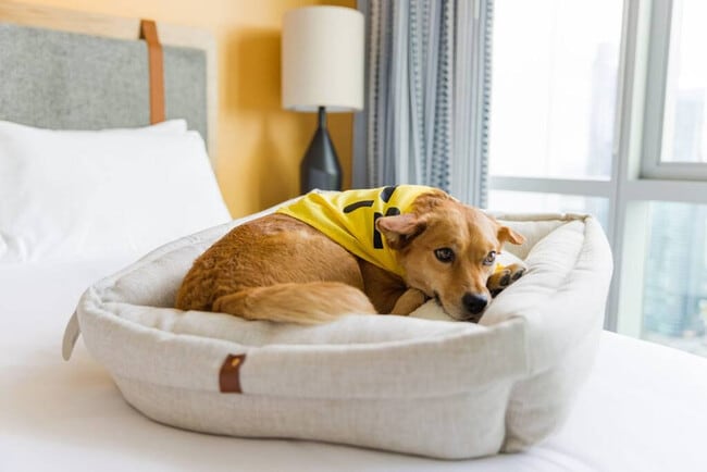 Building Photo - 1122 Madison St Unit ID1227744P