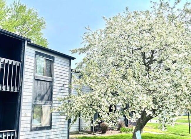 1117 S Cross St Unit 2 Bedroom, 1 Bathroom