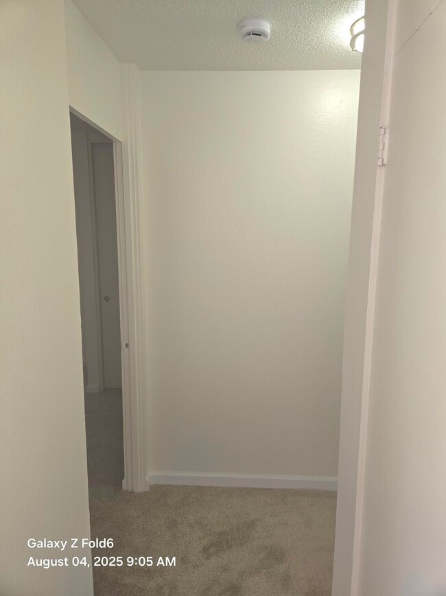 San Carlos Apartments LLC