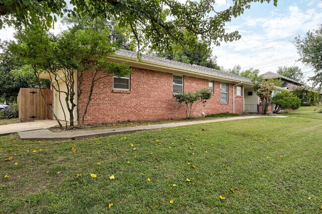 Photo - Rollingwood Beauty!