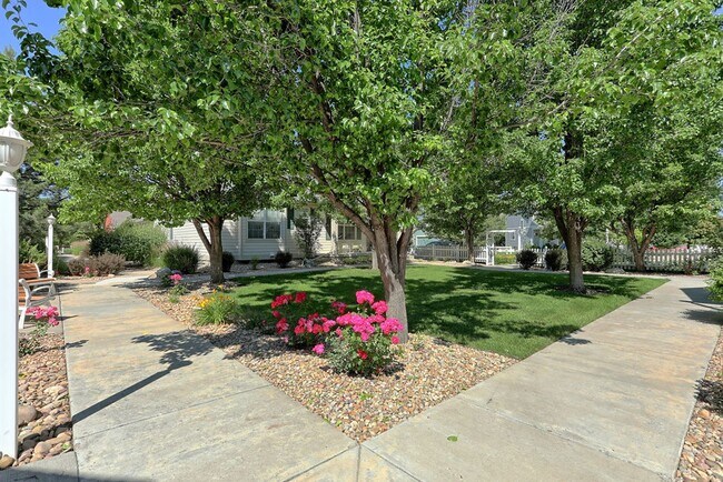 Photo - 3 Bedroom 2 Bath Home in Loveland