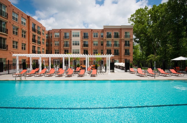 Saline Pool - Spectrum Paramount Apartments