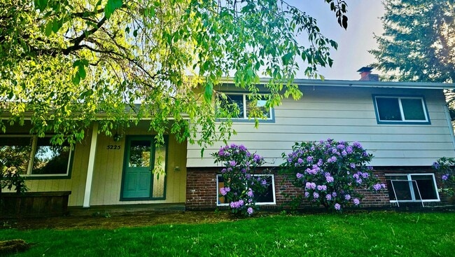 Mid-Century Classic House in Reedwood Neig... - Mid-Century Classic House in Reedwood Neig...