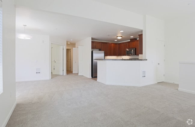 Living Area/Kitchen