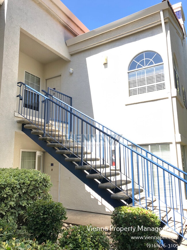 Building Photo - 710 Horizon Cove Rental