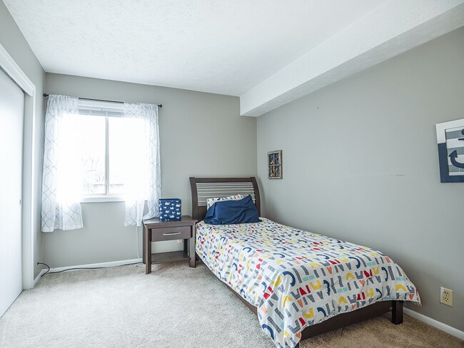 Windows Throughout for Natural Light