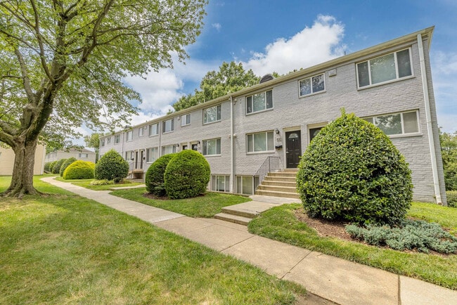 Photo - Renaissance Club