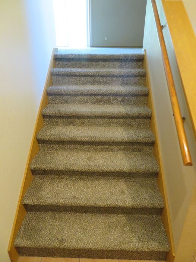 Photo - Raco 130/134 Nordic Unit 130 Nordic