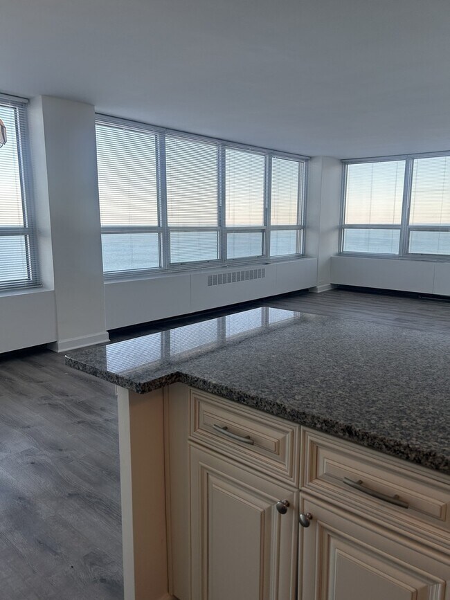 Photo - 4800 S Chicago Beach Dr