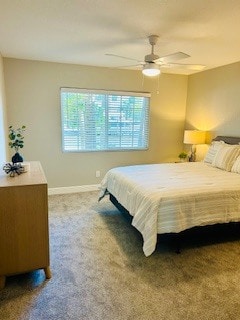 Brand New Suites! - Snell Isle