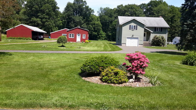 Back yard you see this view when exiting the - 1130 Blue Hills Ave Unit Basement apartment