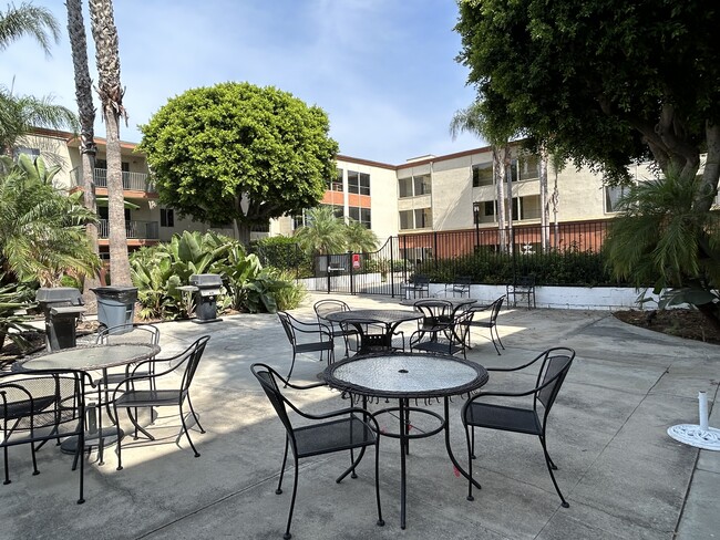 Barbeque and patio area