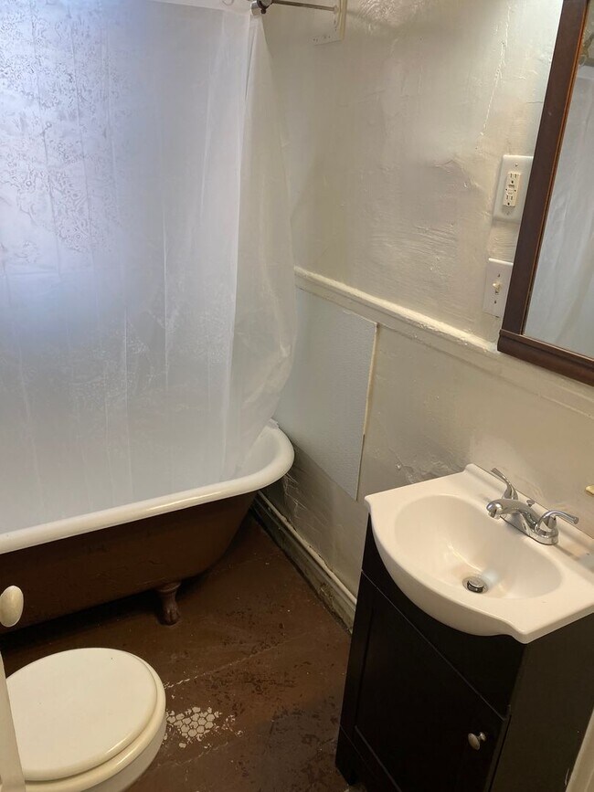 16 S Plum St VCU Area Walk to the Fan & House House Rental in