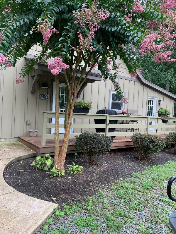 Building Photo - 42083 Sweet Spring Ln