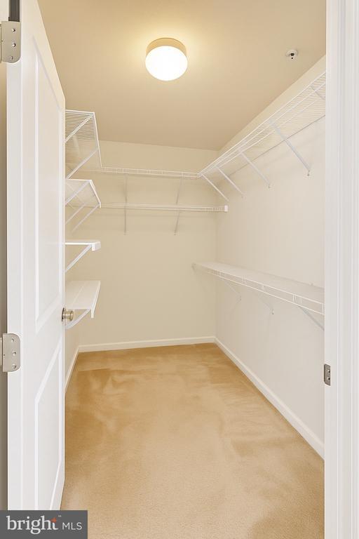 Photo - 3232 Careysbrook Ct