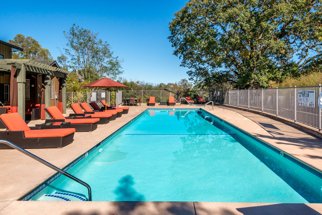 Crooked Oak at Loma Verde Preserve Apartme... - Crooked Oak at Loma Verde Preserve Apartme... Apartments