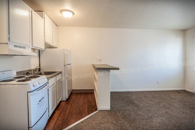 Photo - 500 Laporte Ave Unidad 207