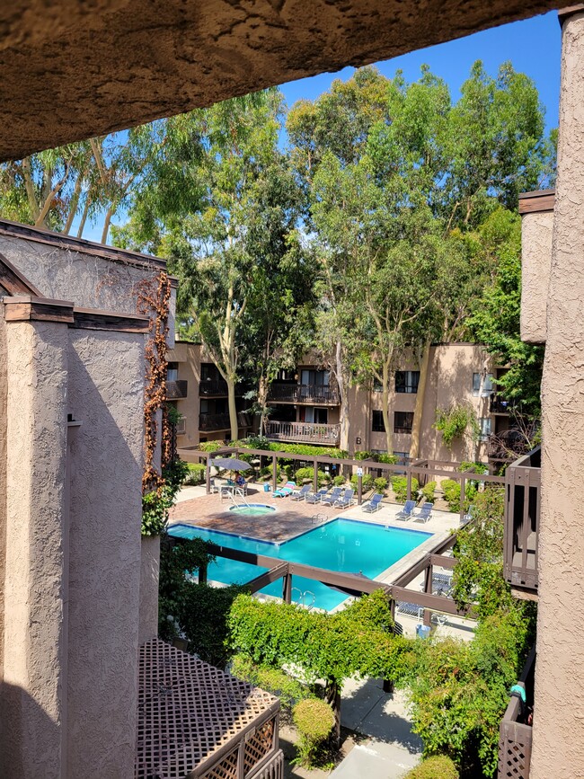 Pool , jacuzzi - 22100 Burbank Blvd Condo Unit 231c