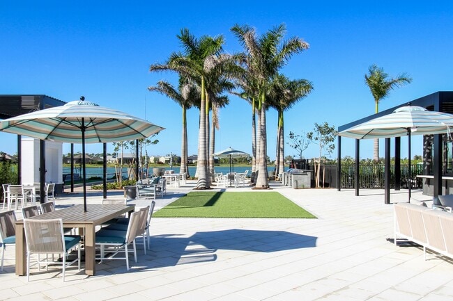 Canopy Courtyard