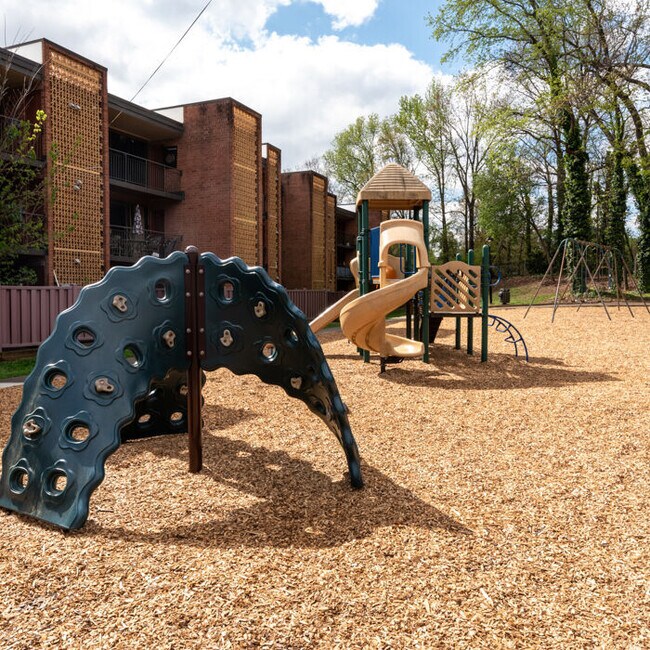 Aurora Apartments Charlotte, NC