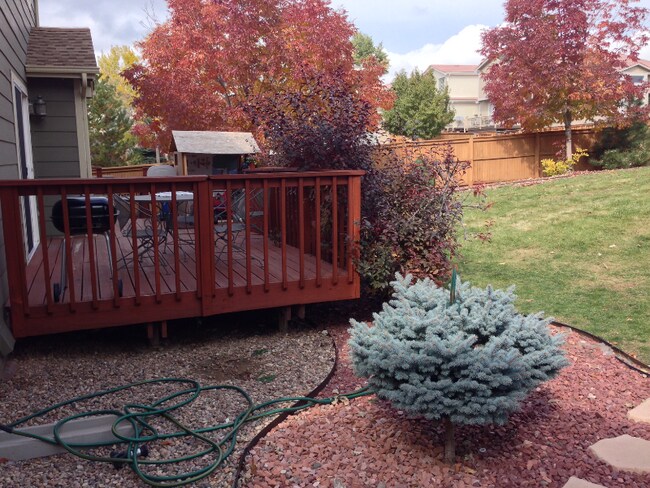 Photo - 9302 Wolfe Dr