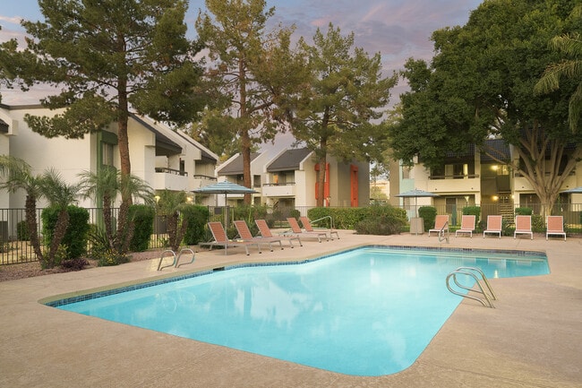 Photo - Orchard on Gilbert