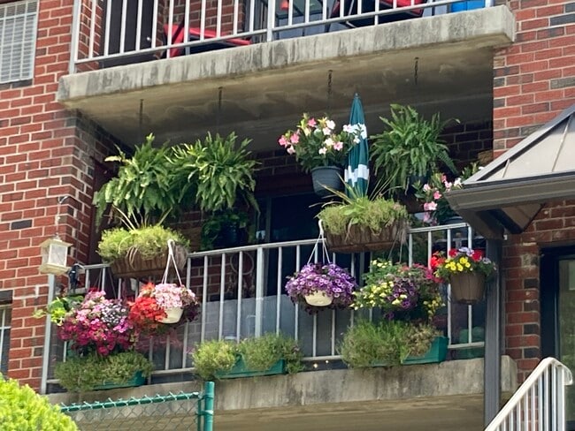 Bridgewater Apartments Balcony - Bridgewater Apartments