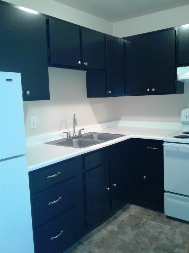 Black and white kitchen