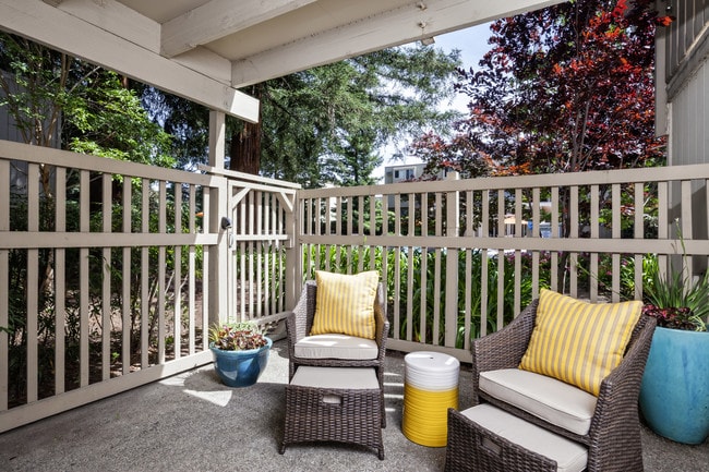 Expansive Patio