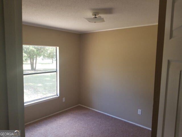 Photo - 443 Witherington Cir
