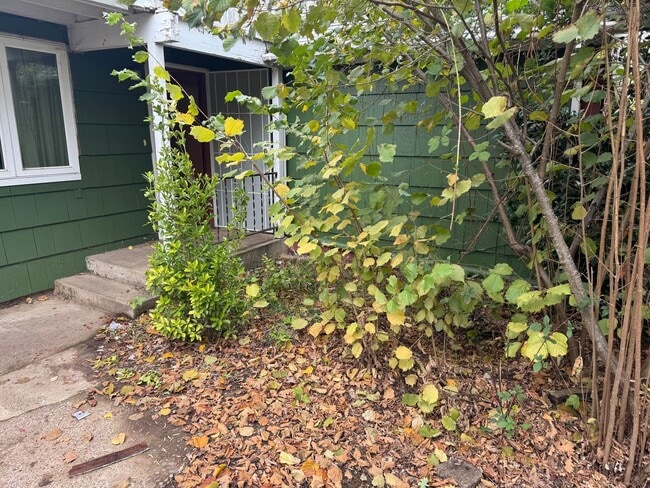 Building Photo - Great Home on acreage!