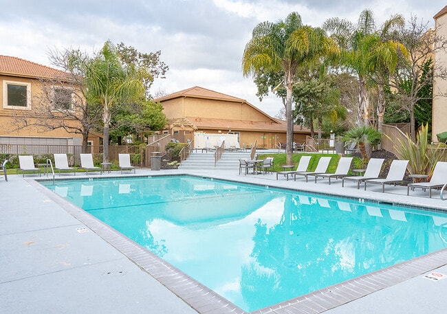 Four Resort-Style Swimming Pools