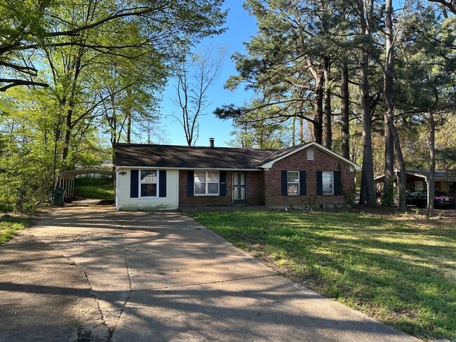 Building Photo - Charming 4 bed 2 bath in Southaven, MS