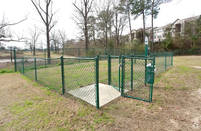 Dog Park - The Hill College Living