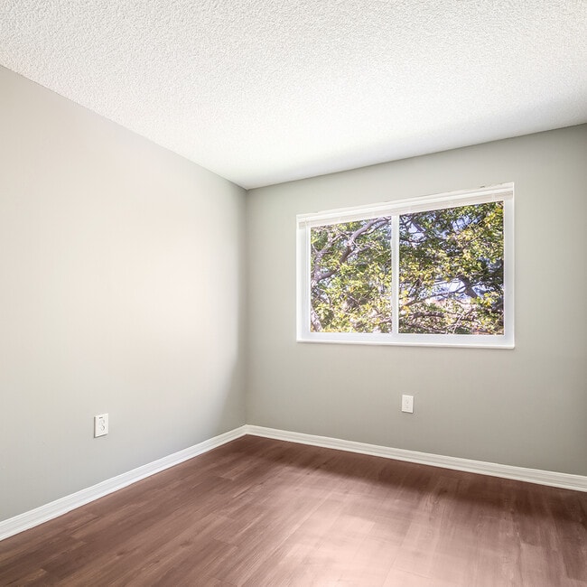 Photo - Prospect Park