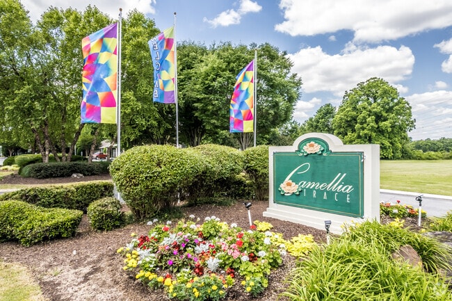 Camellia Trace